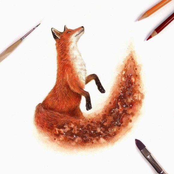 fox_on_walks